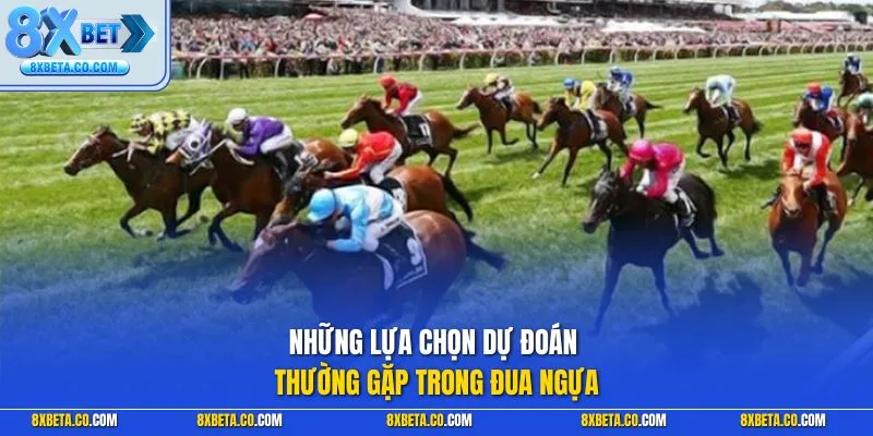 Những lựa chọn dự đoán thường gặp trong đua ngựa